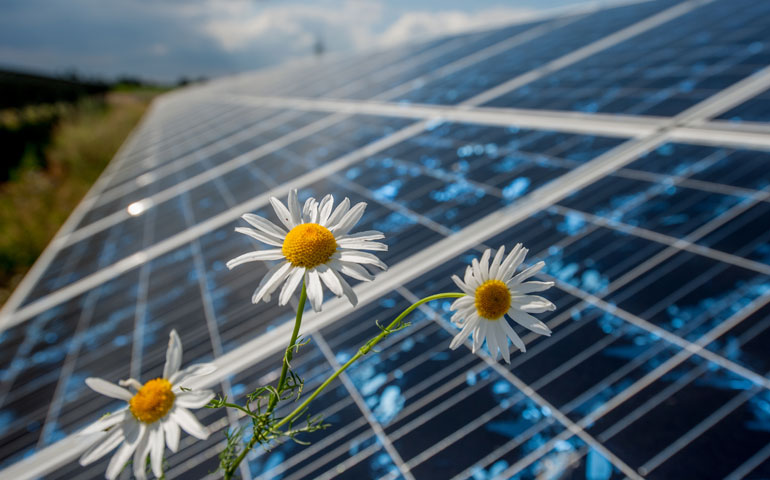 farma pv czernikowo energa