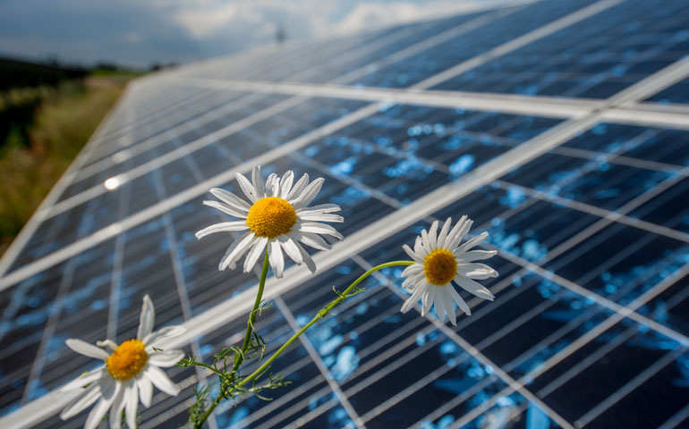 Trwają aukcje dla wytwórców zielonej energii