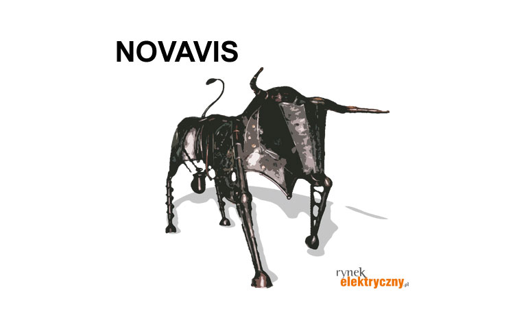 byk giełdowy z napisem Novavis Group