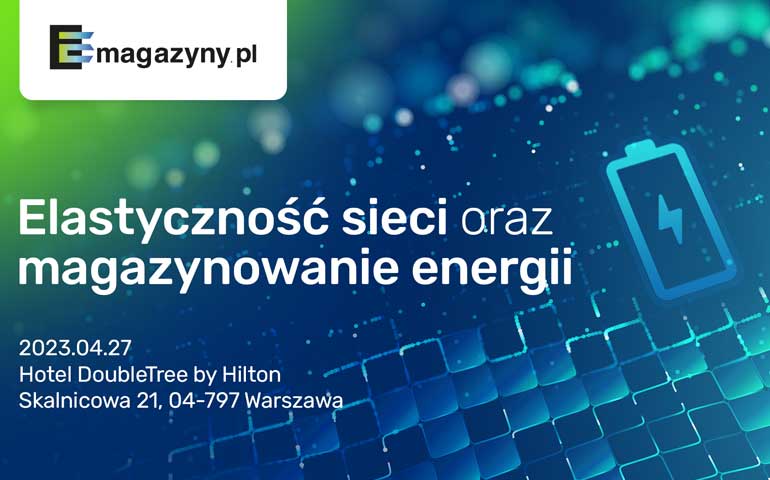 Elastyczność sieci oraz magazynowanie energii