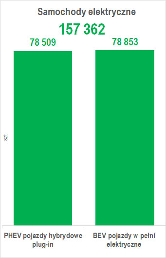 Liczba samochodów osobowych elektrycznych w marcu 2025 r.