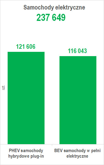 Liczba samochodów osobowych elektrycznych w grudniu 2025 r.